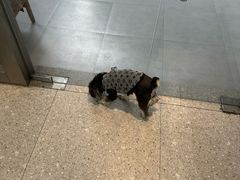 -四月宠物医院·猫专科·心脏专科·内科(转塘店)