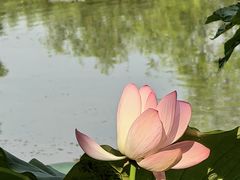 -长兴太湖图影湿地文化园