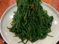 炝拌沙葱-国强手抓(北京西路店)