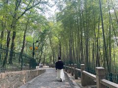 -灵岩山风景区