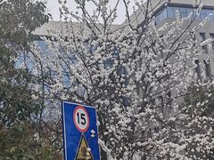 -南京中医药大学(仙林校区)