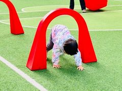 -满天星幼儿园(北京太阳宫园)