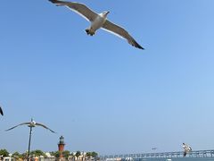 -星海湾跨海大桥