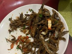 -黄牛肉馆·皖南土菜