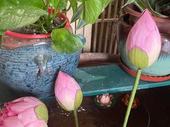 -观盐·盐帮菜(官园桥店)
