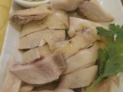 真味白切鸡-粤·向群饭店(龙津东路总店)