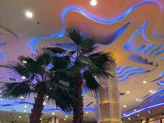 -碧中海汤泉汗蒸酒店