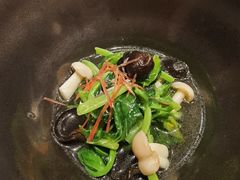 -子福慧(虹桥店)