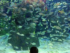 -成都浩海立方海洋公园