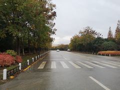 -梁鸿国家湿地公园