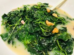 绿浅草（上汤辣椒叶）-顺德了能馆(虎门店)