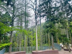 -天姥山景区