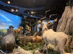 -陕西自然博物馆