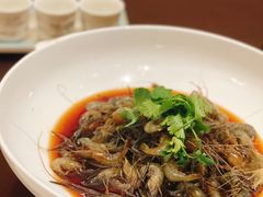 五粮液炝虾-上海老站(徐家汇店)