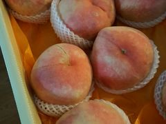 -上海市长春食品商店(淮海中路店)