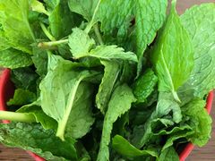 -攀枝花·任德琼·盐边羊肉米线