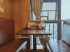 -喵园·猫主题咖啡厅·撸猫·猫咖(国贸店)