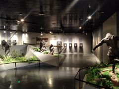 -北京周口店北京人遗址博物馆