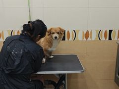 -总动员动物医院(宝丰院店)
