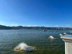 -海埂大坝