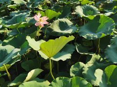 -南戴河国际娱乐中心