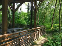 -西湖风景区-江洋畈生态公园