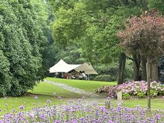 -上海滨江森林公园