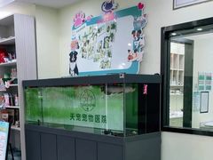 -天宠宠物医院24小时·急重症诊疗中心·全科·腔镜特色(和平分院)