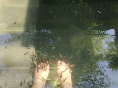 -西安国际创新人才交流中心•药浴温泉