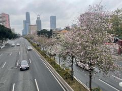 -豪客来牛排(伟诚广场店)