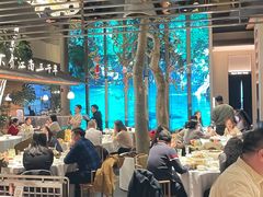 -桂满陇·海市蜃楼·黑金(国金店)