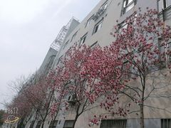 -南京航空航天大学(将军路校区)