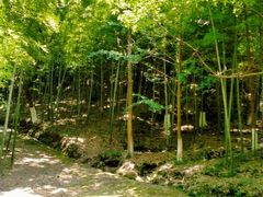 -峙山公园