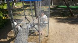 -萌宠亲子动物乐园(槐房万达店)