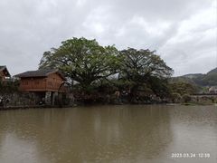 -云水谣景区
