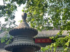 -灵谷景区