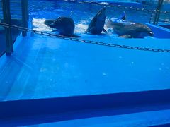 -福州罗源湾海洋世界旅游区