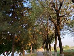 -汉长安城未央宫国家考古遗址公园