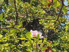 -浙江大学(玉泉校区)