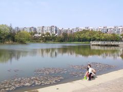 -新江湾城公园