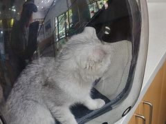 -联合动物医院(光谷诊疗中心)