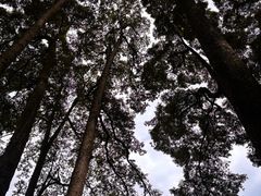 -青城山
