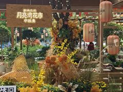 -瑞虹新天地月亮湾