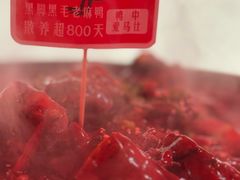 -回味黑鸭煲·始于2006(万松园店)