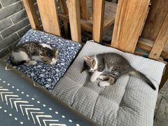 -老屋咖啡