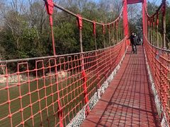 -上海吴淞炮台湾国家湿地公园