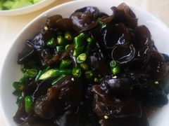 -东吴霸王兔(松青路店)