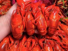 -阆辣荟餐饮(老味道8年·古城店)