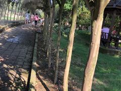 -武汉紫薇都市田园