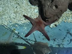 -南昌海洋公园